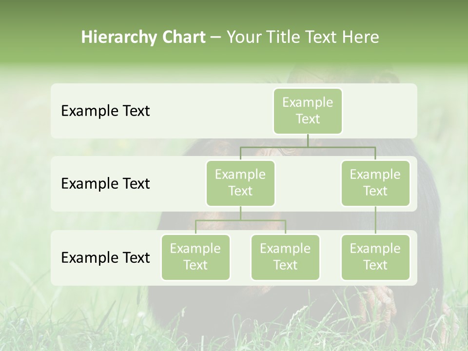 Remote House Power PowerPoint Template
