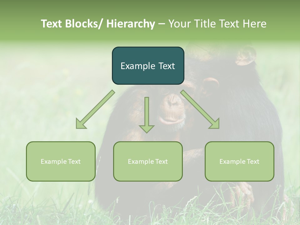 Remote House Power PowerPoint Template