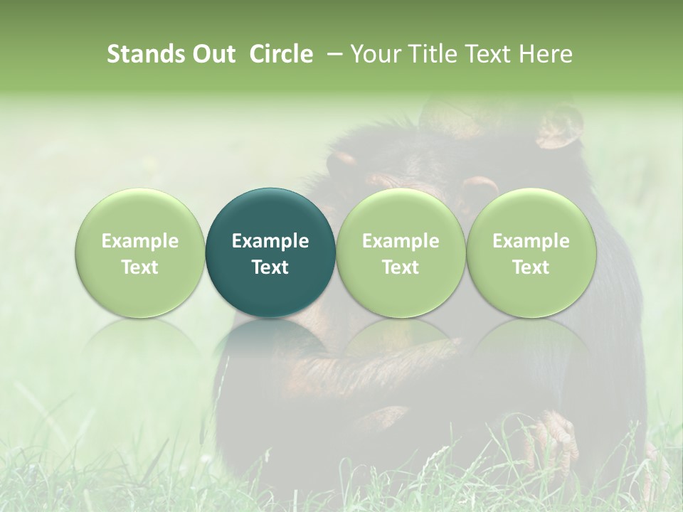 Remote House Power PowerPoint Template