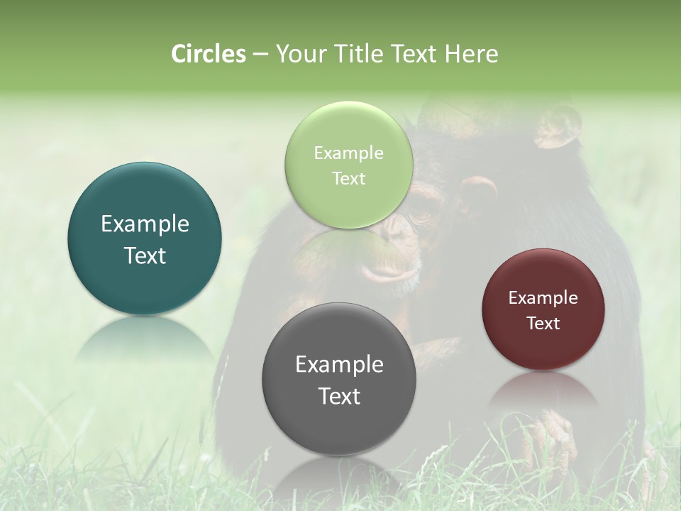 Remote House Power PowerPoint Template