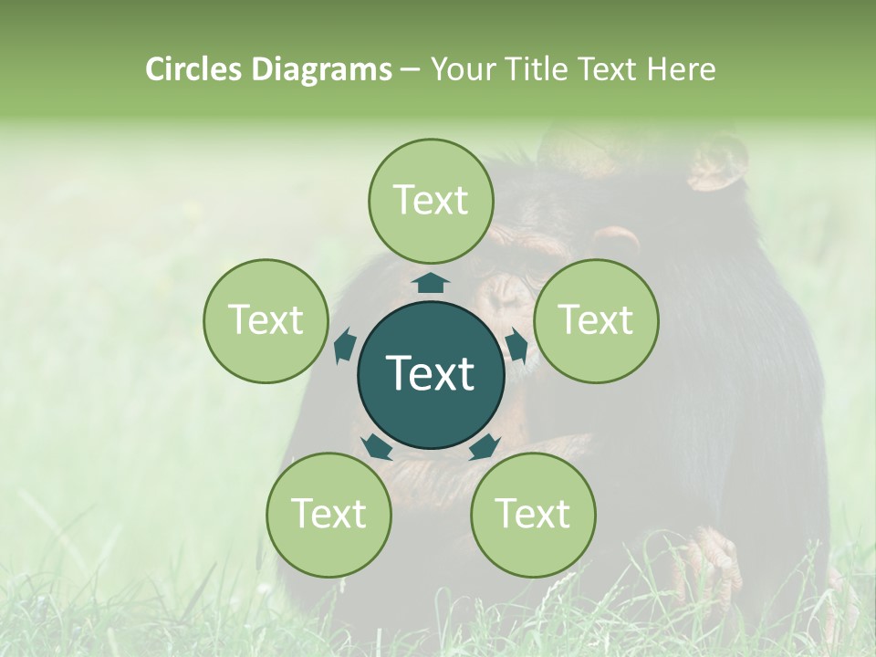 Remote House Power PowerPoint Template