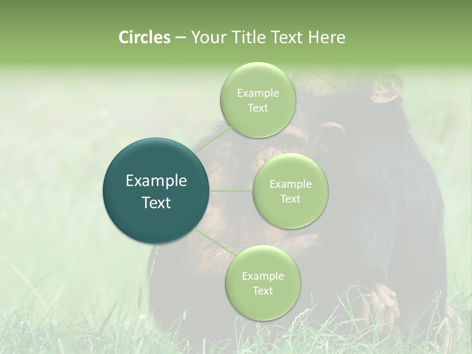 Remote House Power PowerPoint Template