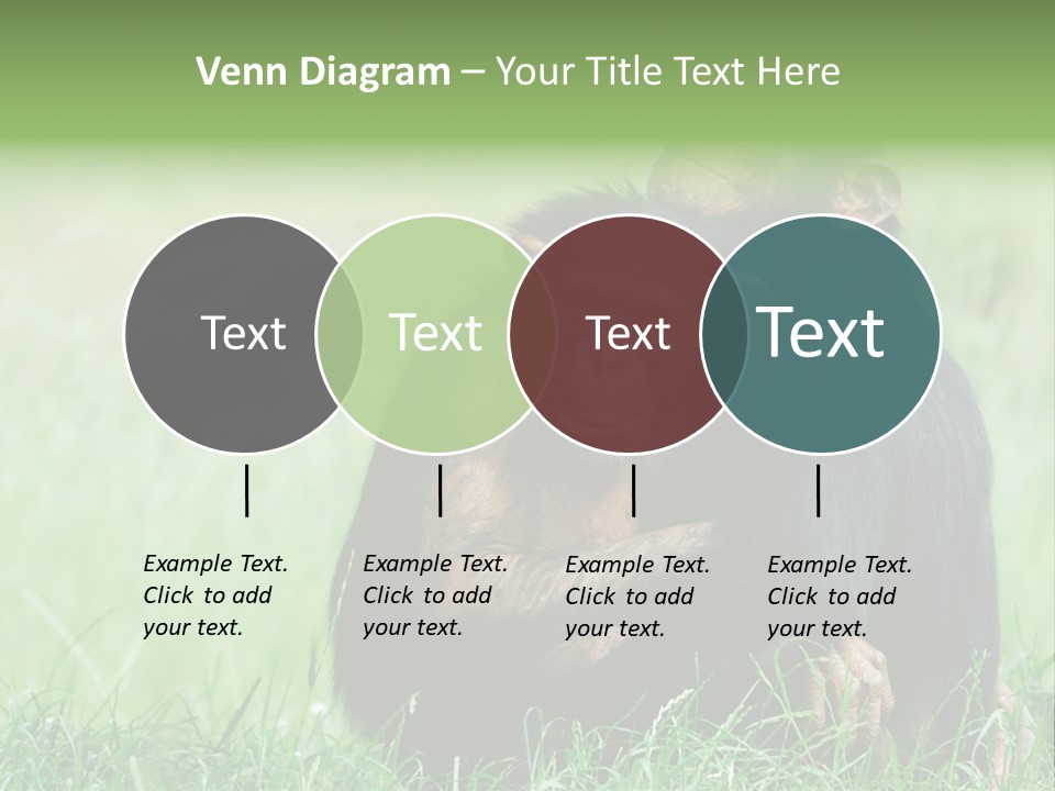 Remote House Power PowerPoint Template