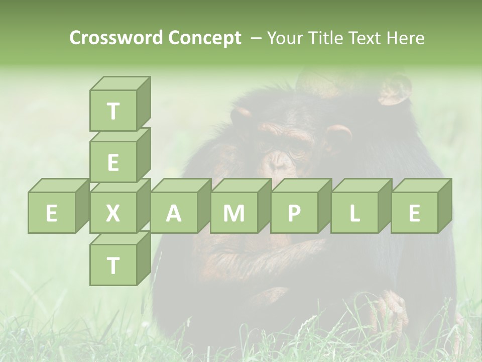 Remote House Power PowerPoint Template