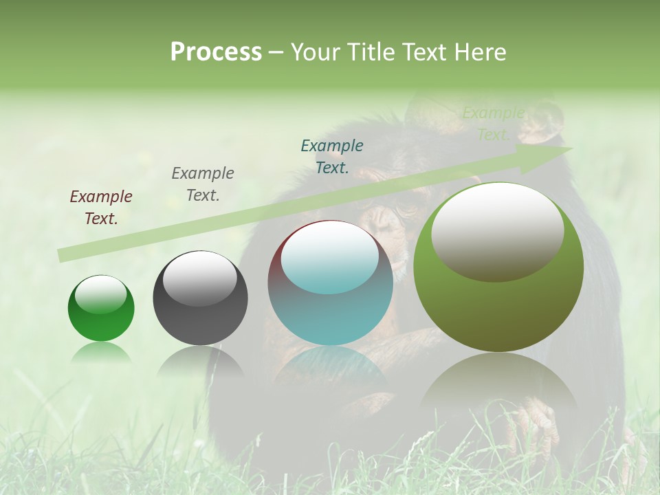 Remote House Power PowerPoint Template