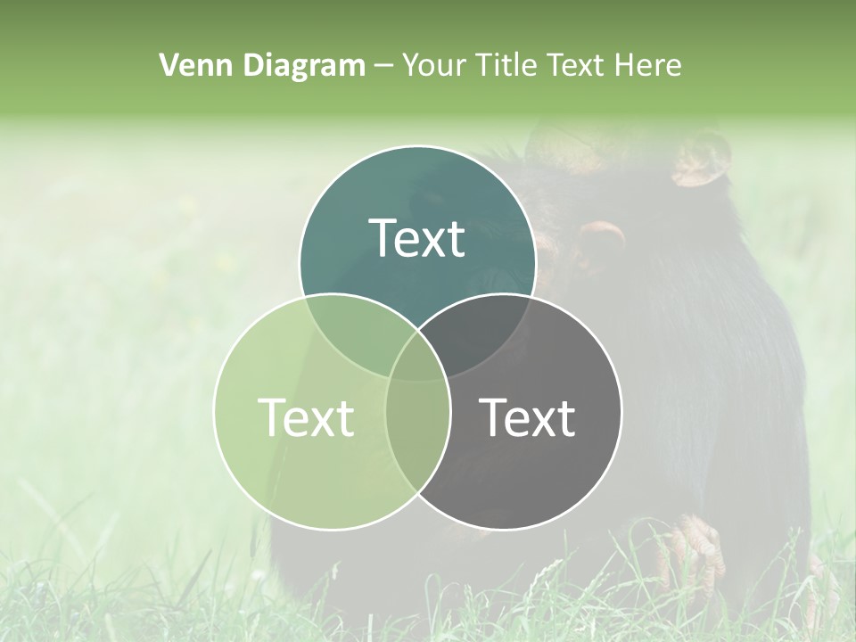 Remote House Power PowerPoint Template