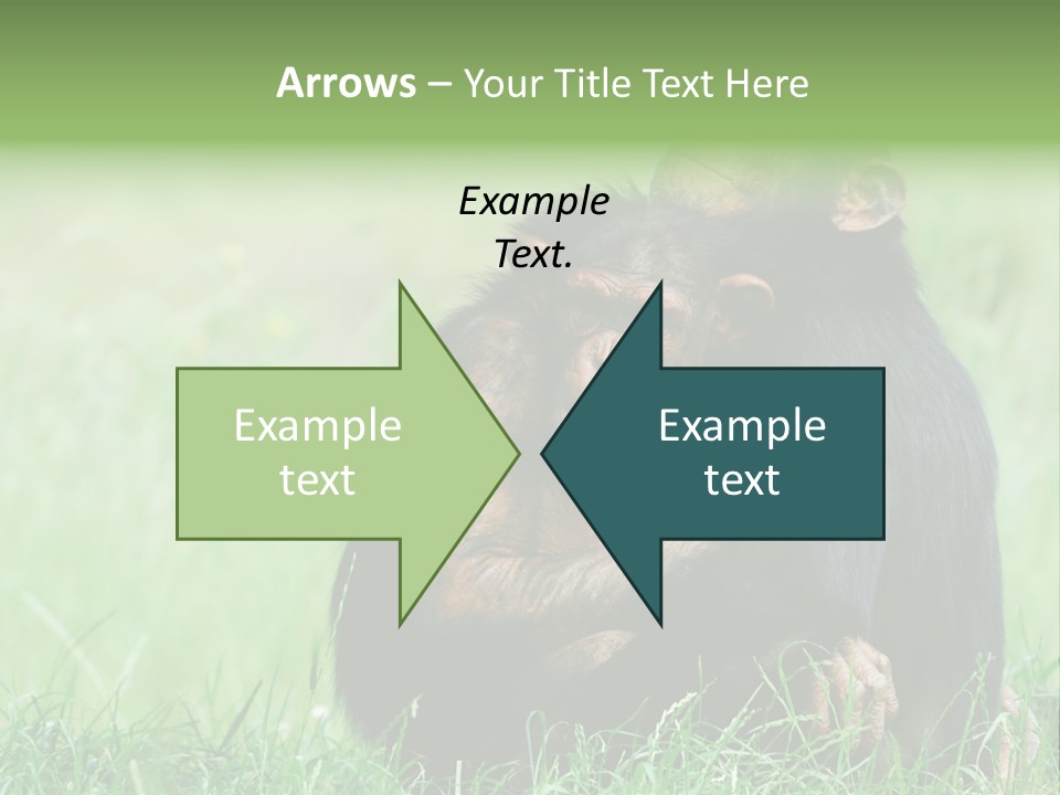 Remote House Power PowerPoint Template