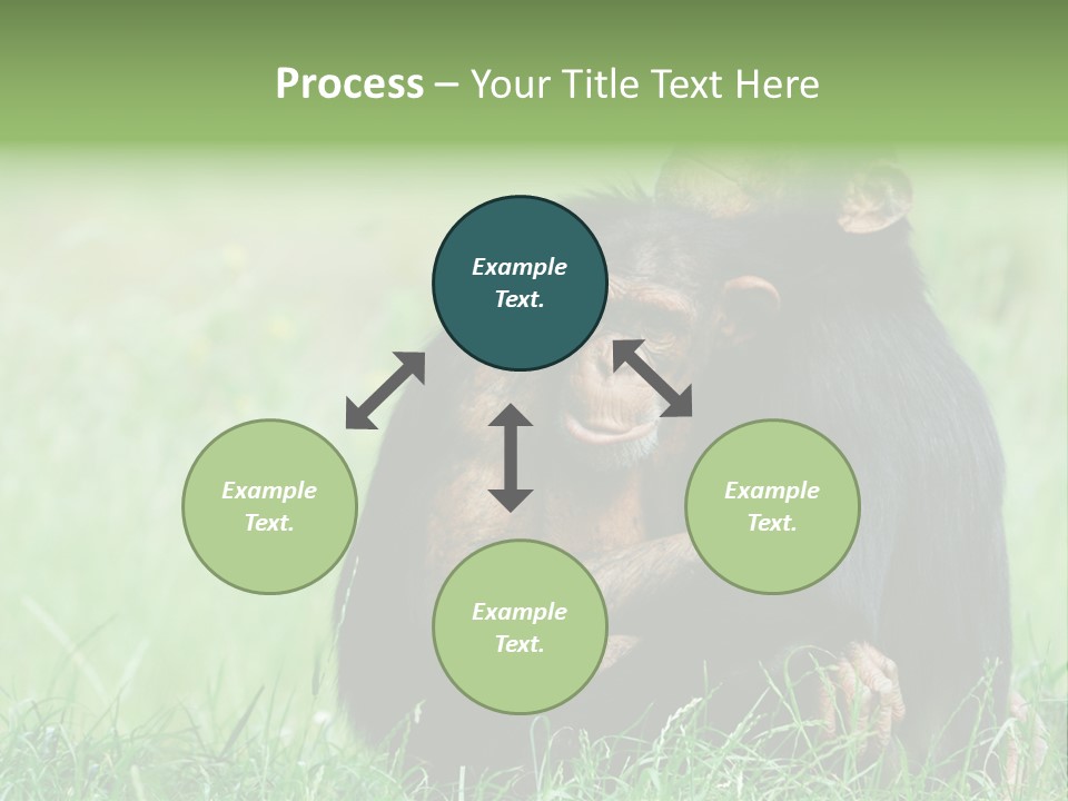 Remote House Power PowerPoint Template