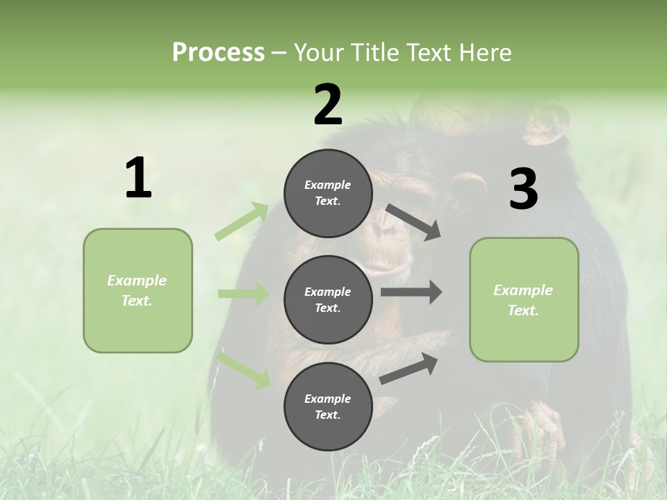 Remote House Power PowerPoint Template