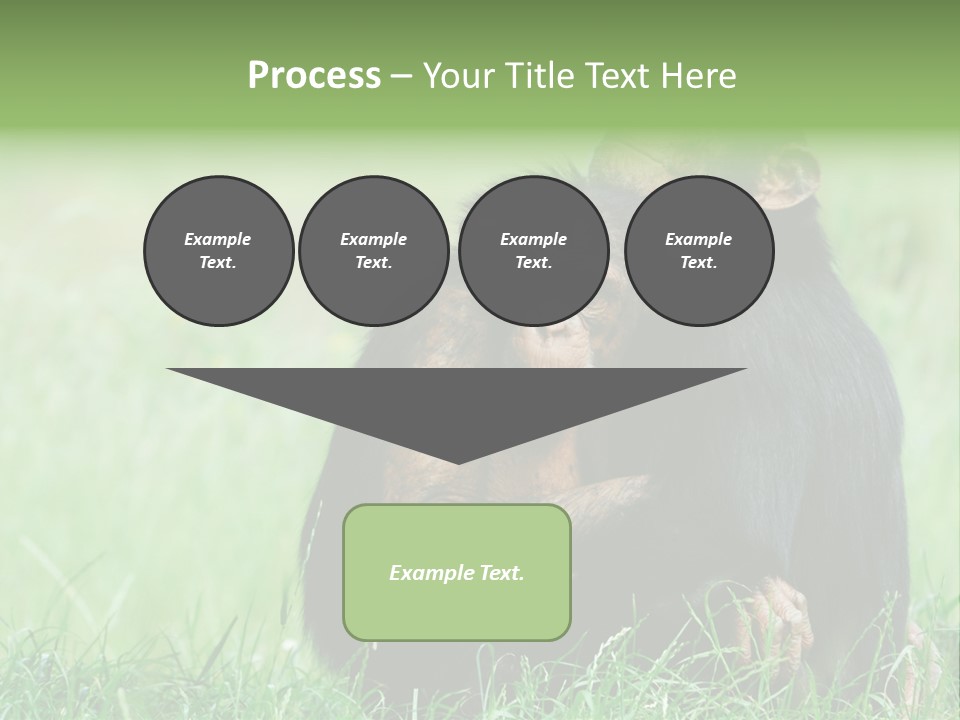 Remote House Power PowerPoint Template
