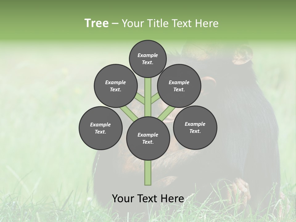 Remote House Power PowerPoint Template