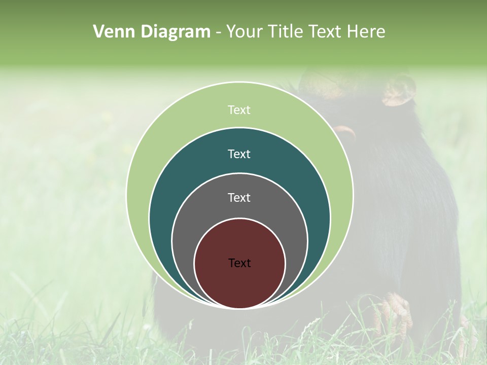 Remote House Power PowerPoint Template