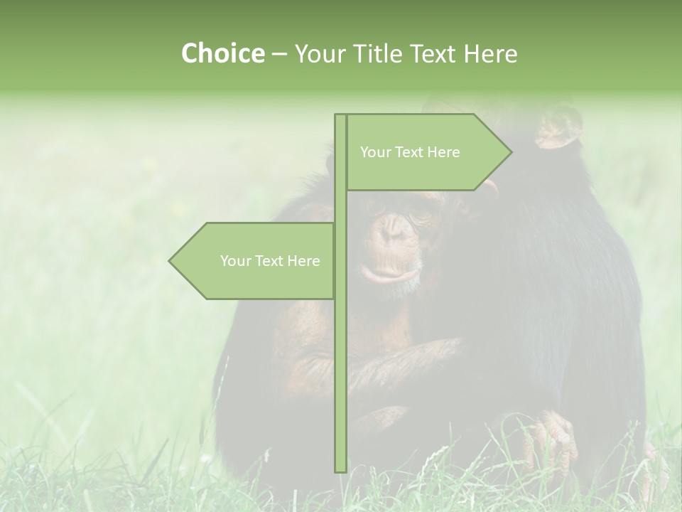 Remote House Power PowerPoint Template