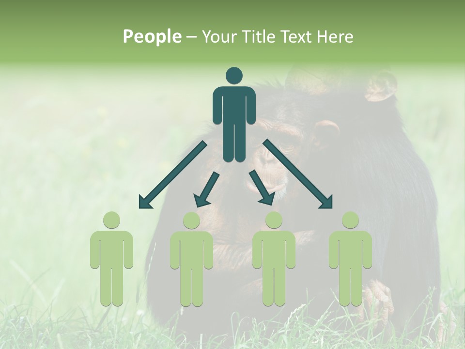 Remote House Power PowerPoint Template