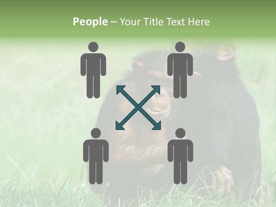 Remote House Power PowerPoint Template