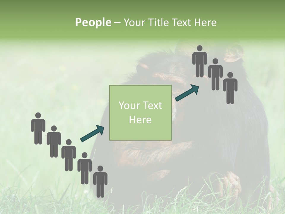 Remote House Power PowerPoint Template