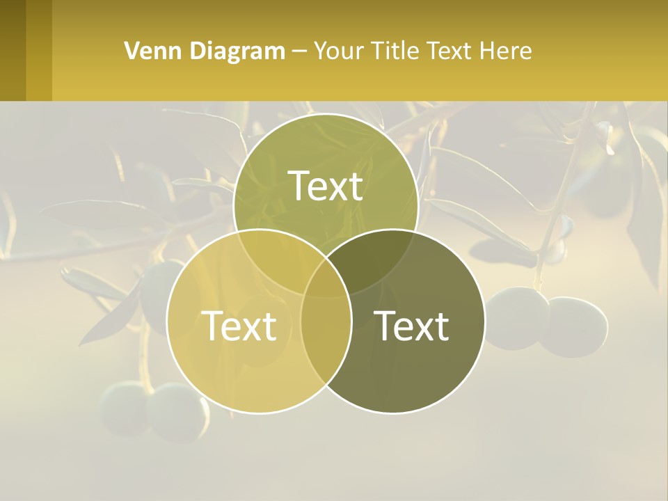 Condition Conditioner Heat PowerPoint Template