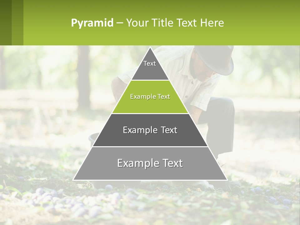 Power Equipment Climate PowerPoint Template