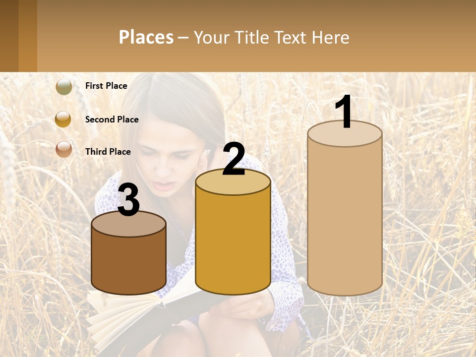 Remote House Cold PowerPoint Template
