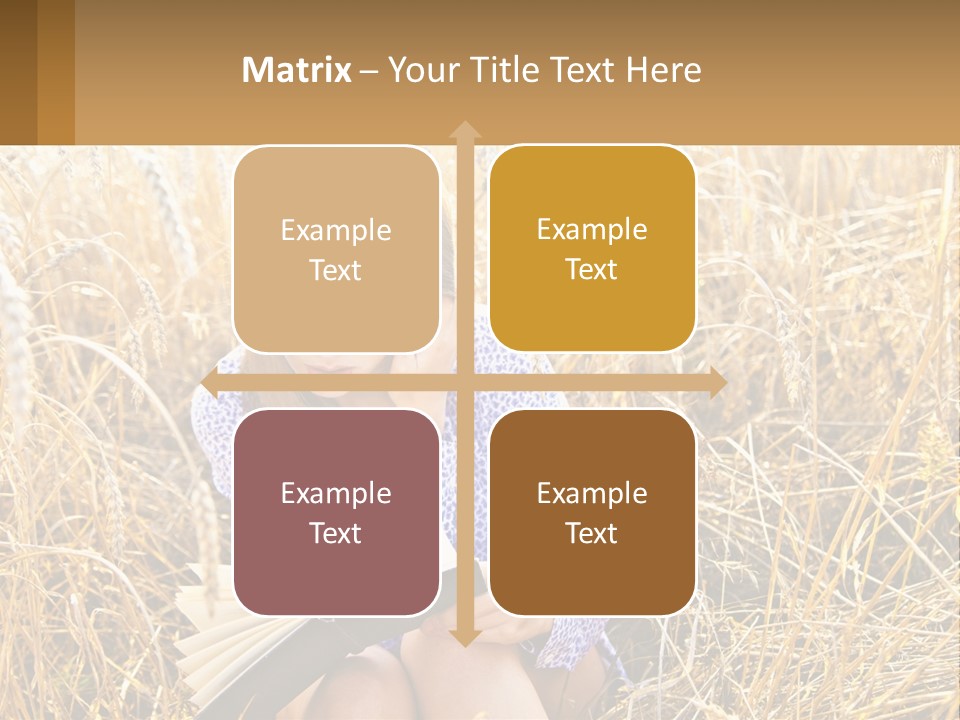 Remote House Cold PowerPoint Template