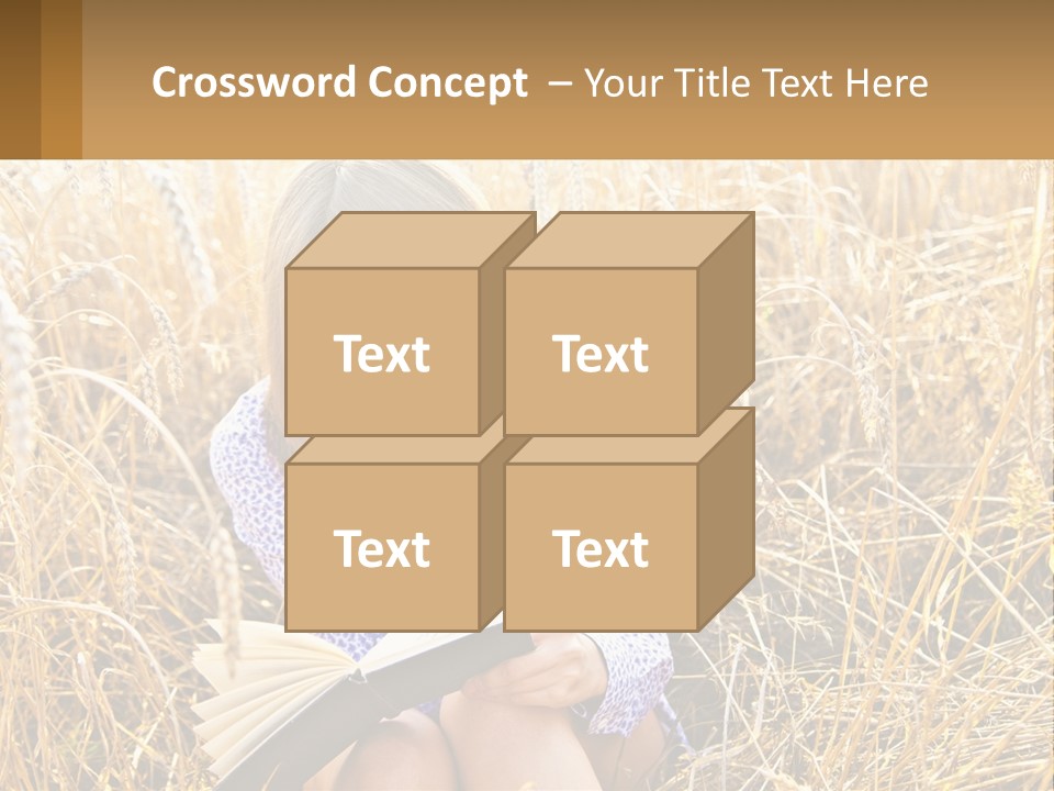 Remote House Cold PowerPoint Template