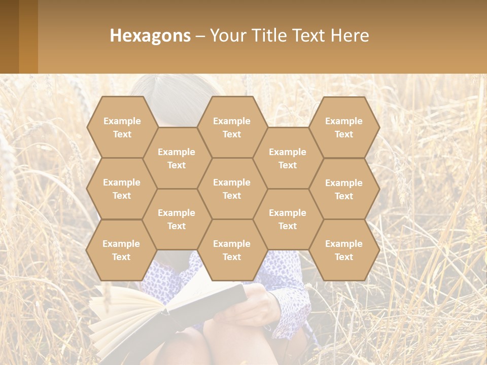 Remote House Cold PowerPoint Template