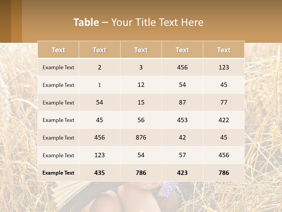 Remote House Cold PowerPoint Template
