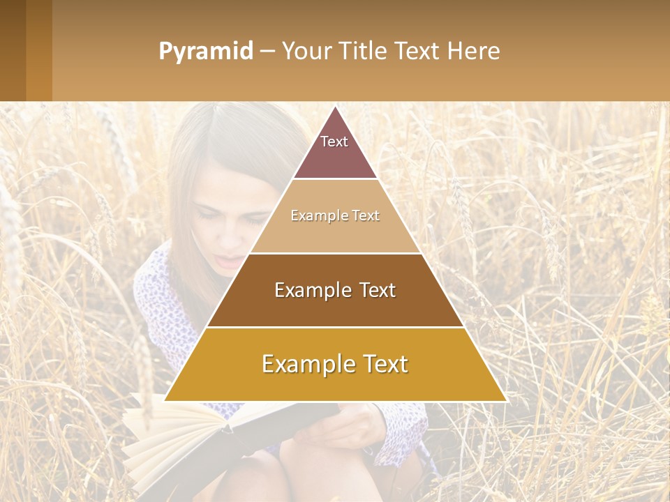 Remote House Cold PowerPoint Template