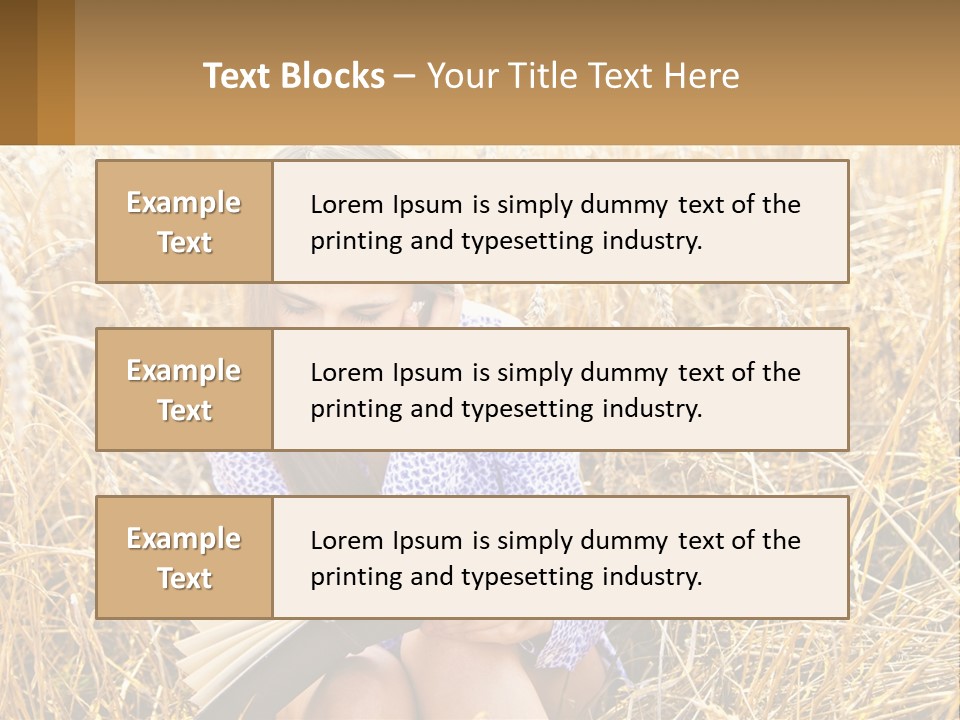 Remote House Cold PowerPoint Template