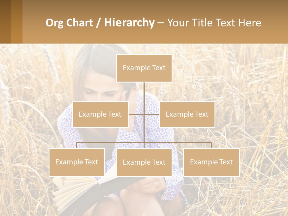 Remote House Cold PowerPoint Template