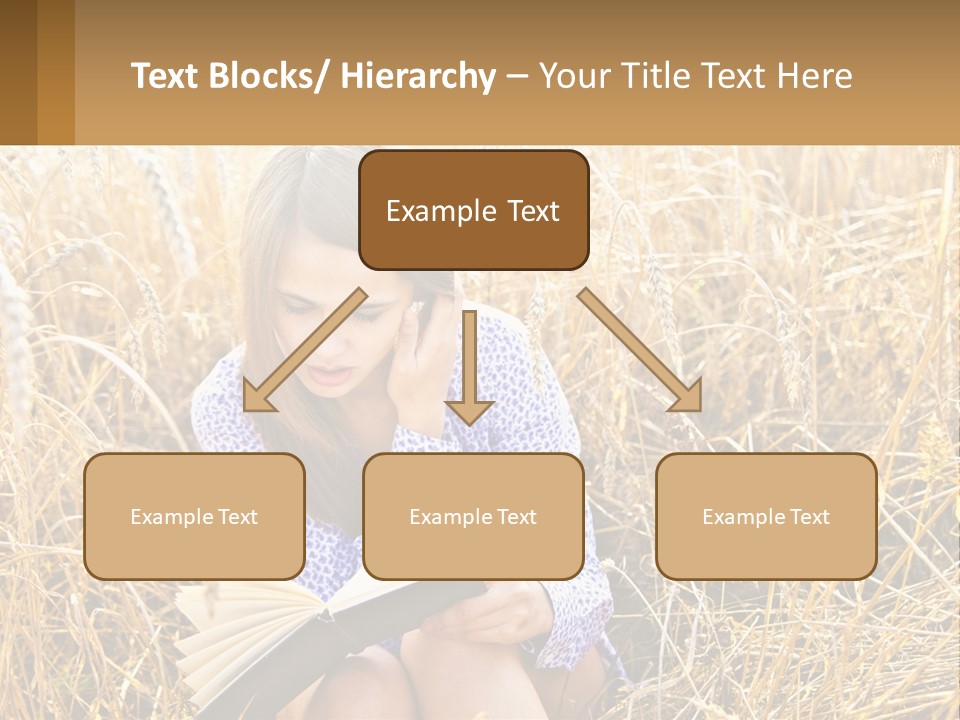 Remote House Cold PowerPoint Template