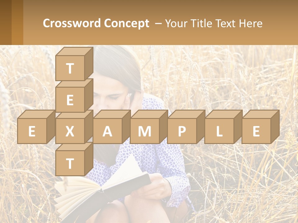 Remote House Cold PowerPoint Template