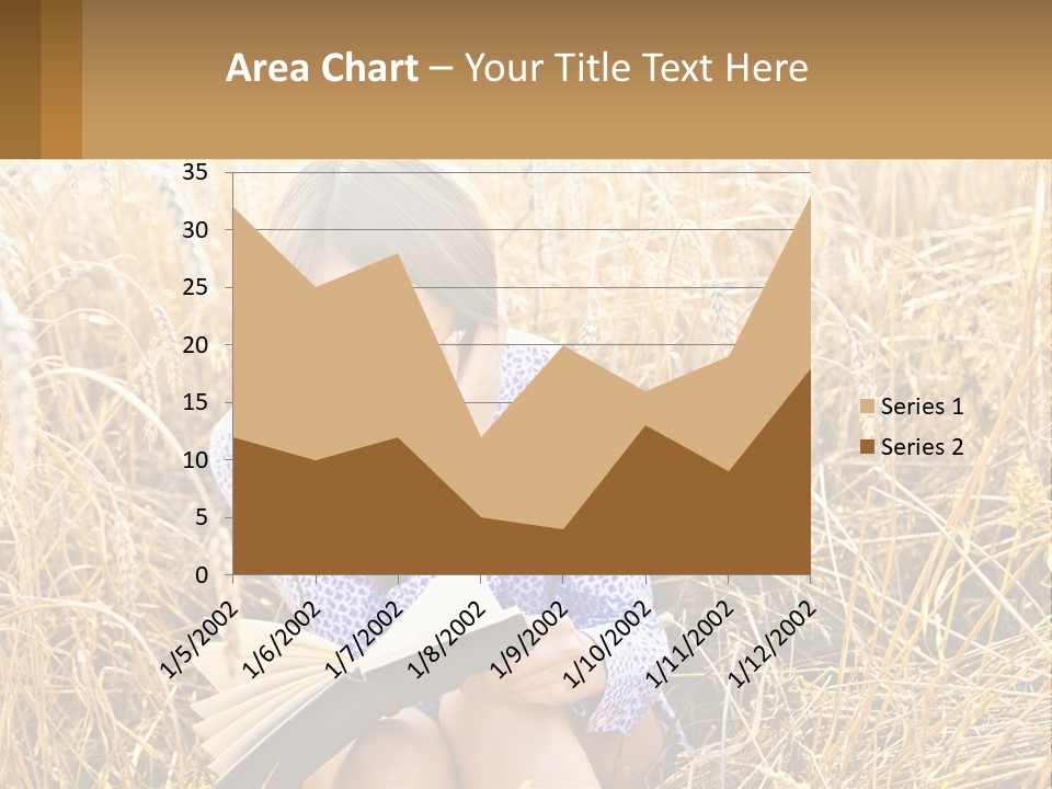 Remote House Cold PowerPoint Template