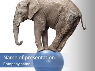 Supply Home Remote PowerPoint Template