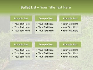 White Condition Power PowerPoint Template