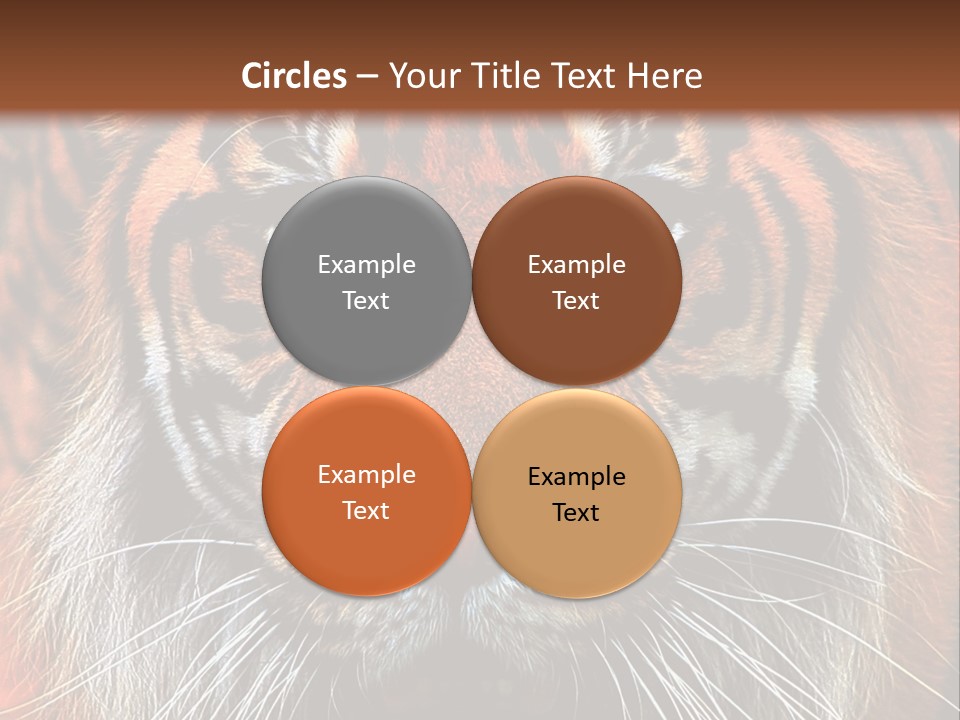 Energy Power Cool PowerPoint Template