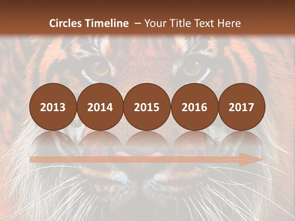 Energy Power Cool PowerPoint Template