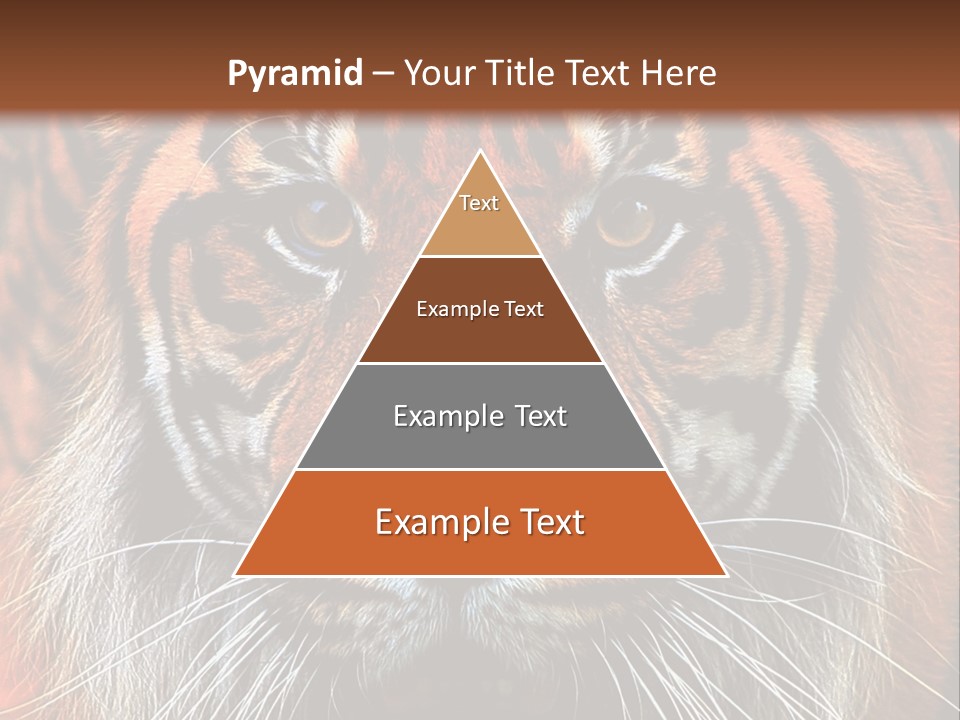 Energy Power Cool PowerPoint Template