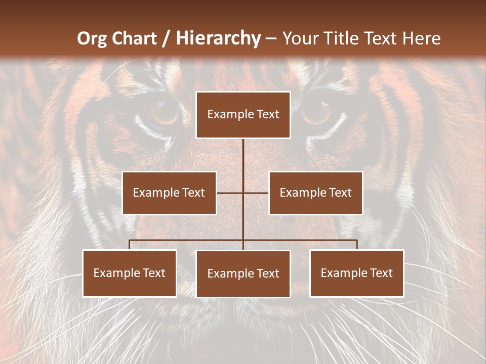 Energy Power Cool PowerPoint Template