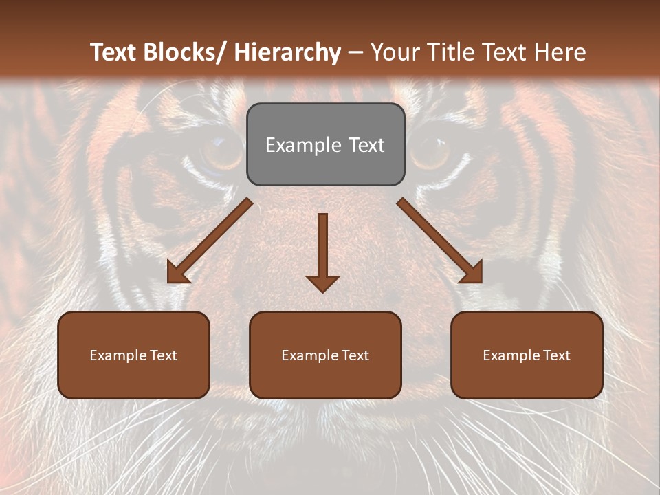 Energy Power Cool PowerPoint Template