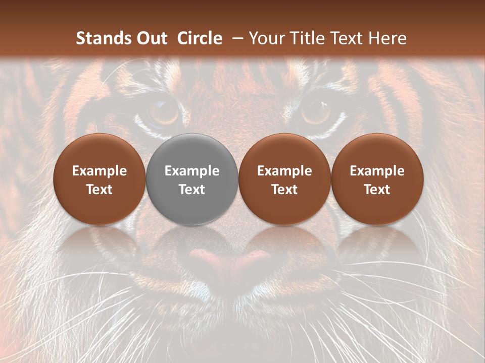 Energy Power Cool PowerPoint Template