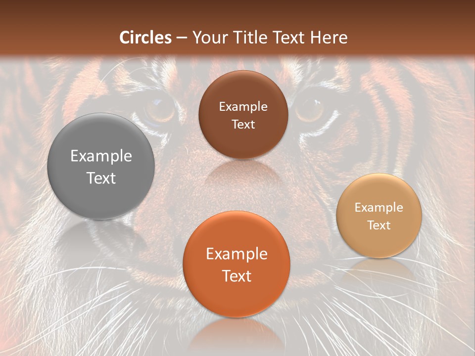 Energy Power Cool PowerPoint Template