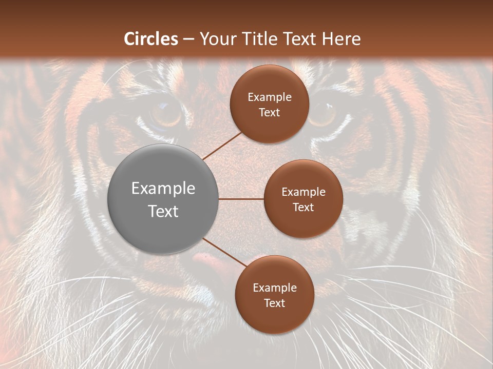 Energy Power Cool PowerPoint Template