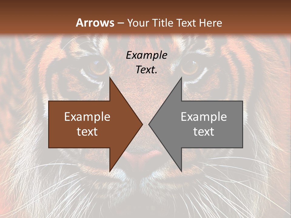 Energy Power Cool PowerPoint Template