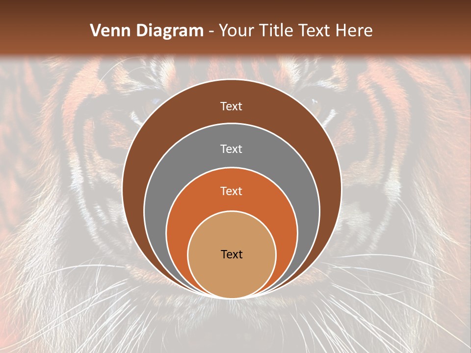 Energy Power Cool PowerPoint Template