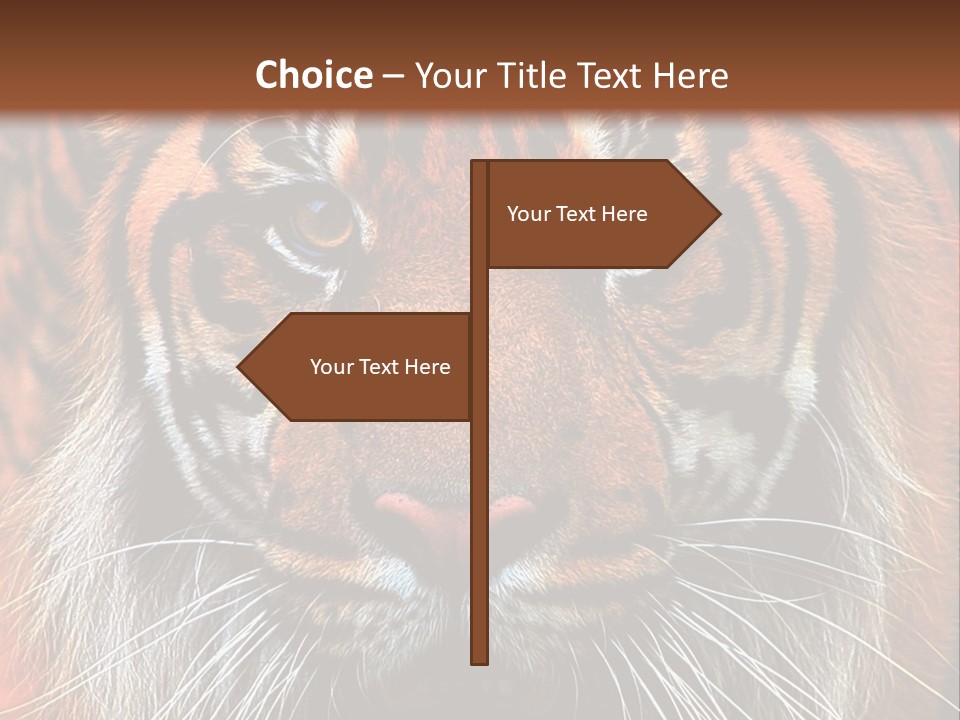 Energy Power Cool PowerPoint Template