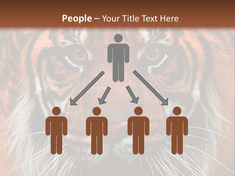 Energy Power Cool PowerPoint Template