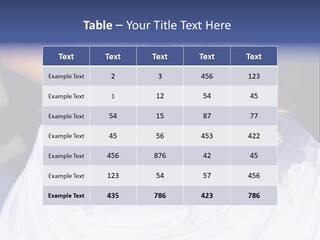 House Air Electricity PowerPoint Template