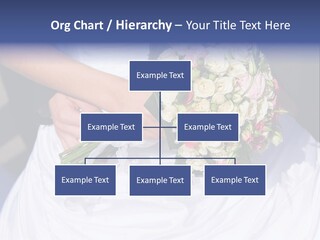 House Air Electricity PowerPoint Template