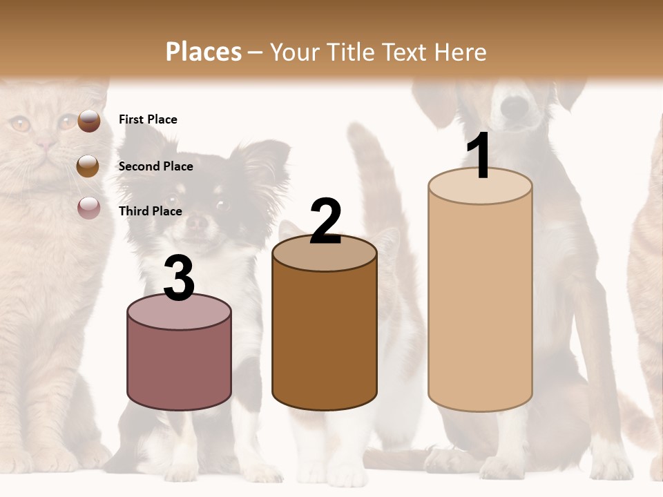 Conditioner Switch White PowerPoint Template